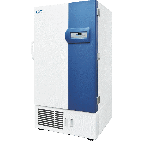 Lexicon II Ultra-Low Temperature Freezer Gold