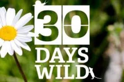 Sciquip 30 Days of Wild