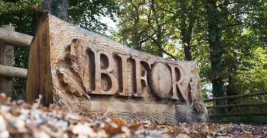BIFoR FACE: Understanding the Impact of Climate Change on Woodlands