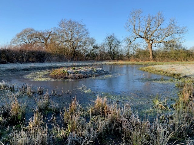 Winter pond 1