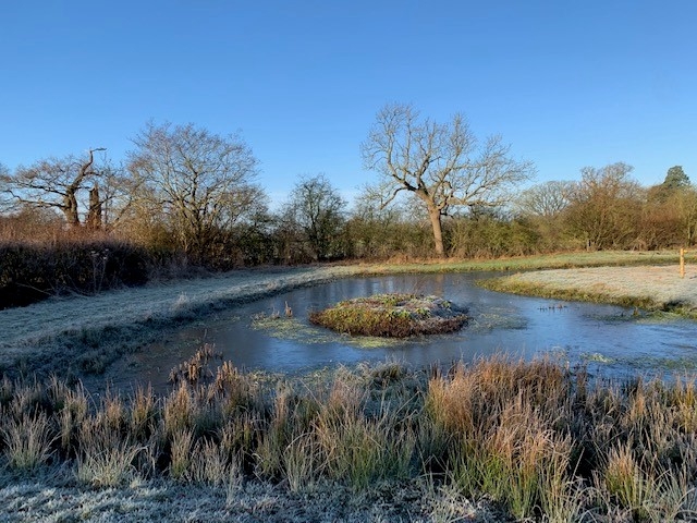 winter pond 2