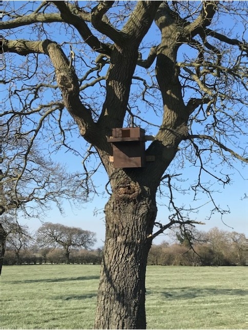Tree Box